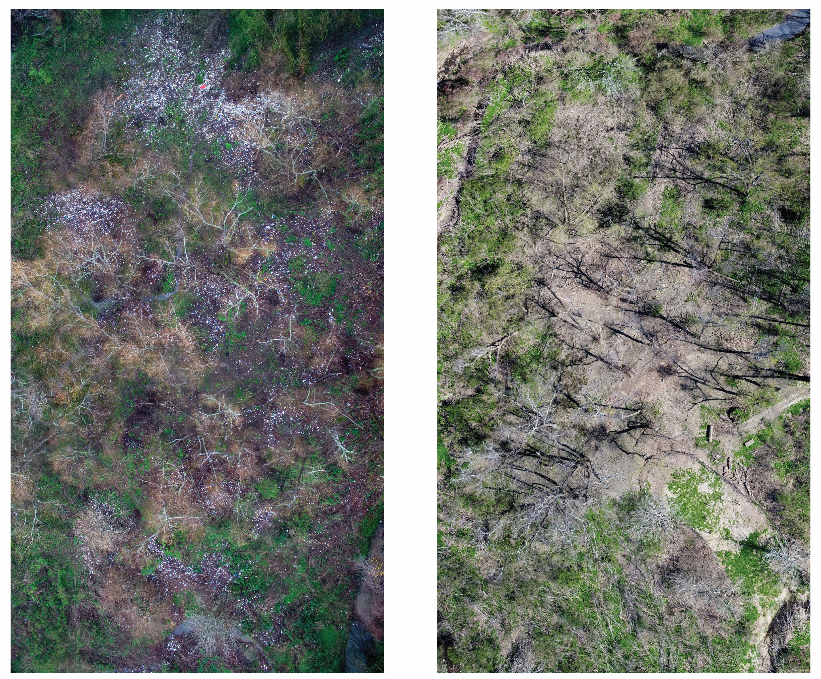 6 tons of litter later, Burden borrow pit becomes lab for environmental research